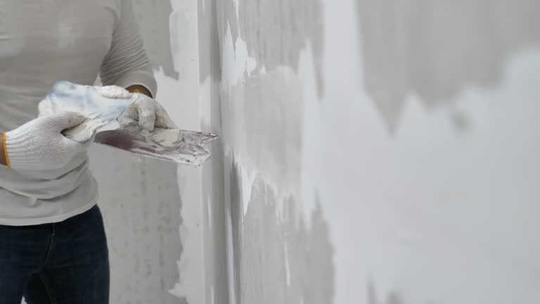 Reliable Paloma Creek, TX Dry wall and painting Solutions